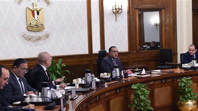 تسهيلات لمزارع الدواجن وتوفير سكن بديل للعقارات المهددة بالسقوط.. أهم قرارات مجلس الوزراء خلال أسبوع