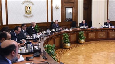 الحكومة: 7 مطورين صناعيين طلبوا الحصول على أراضٍ بالمدن الجديدة 