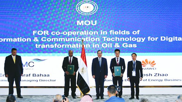 وزير البترول والثروة