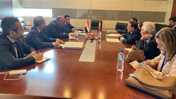 وزير الخارجية يلتقي