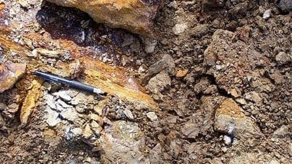 مناطق حدوث الزلازل