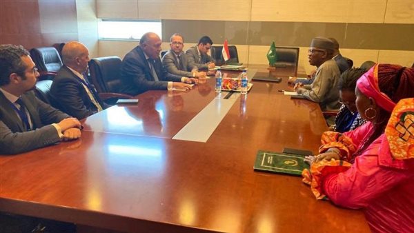 وزير الخارجية يلتقي