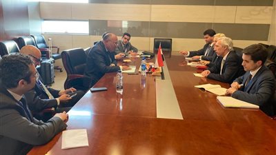 وزير الخارجية يلتقي نظيره الجزائري قبيل انعقاد قمة الاتحاد الإفريقي