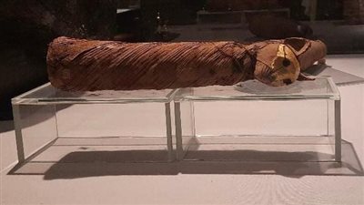 متحف التحنيط يلقي الضوء على مومياء المعبودة باستت إلهة الحب