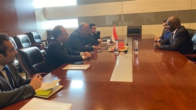 وزير الخارجية يؤكد لنظيره الموريتاني عمق العلاقات بين مصر وموريتانيا