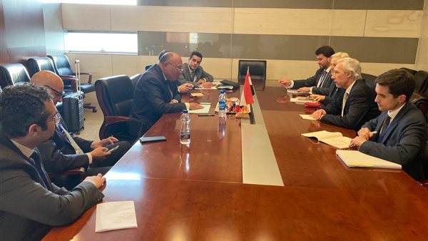 وزير الخارجية يلتقي