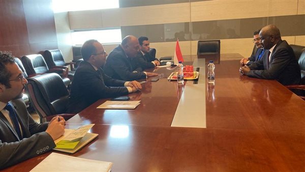 وزير الخارجية يلتقي