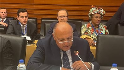 وزير الخارجية يستعرض نتائج COP27 أمام لجنة رؤساء الحكومات الأفارقة المعنية بتغير المُناخ