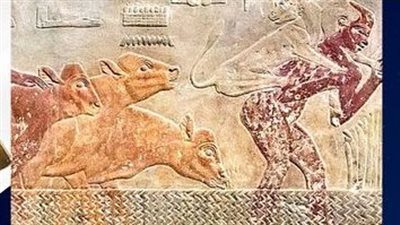 اكتشفت عام 1877م.. متحف مطار القاهرة الدولي يلقي الضوء على مقبرة تي بسقارة