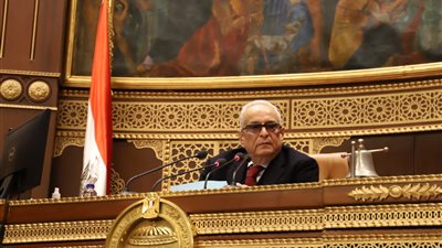 تحويل مدينة رشيد إلى متحف مفتوح يتصدر مناقشات سياحة الشيوخ اليوم