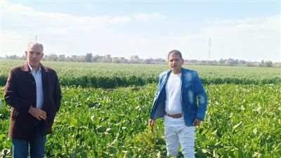 للاطمئنان على المحاصيل.. أيمن عبد العال يتفقد محطة البحوث الزراعية بالجميزة