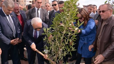 وزيرا التنمية المحلية والتعليم يزرعان أشجارا على كورنيش دمنهور ضمن مبادرة زراعة 100 مليون شجرة 