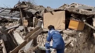 منظمات تتطوع لإنقاذ الحيوانات من تحت أنقاض الزلزال بتركيا