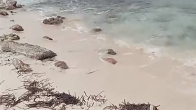 حقيقة انحسار مياه المتوسط أمام شواطئ مطروح وشمال سيناء بسبب الزلازل | بث مباشر