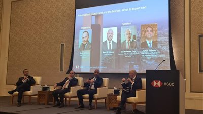 تفاصيل لقاء مسئولي الرقابة المالية والمركزي والبورصة مع 20 مؤسسة استثمارية سعودية وإماراتية