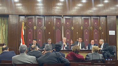 وزير المجالس النيابية: الحكومة توافق على مد استيراد سيارات المصريين بالخارج شهرين جديدين