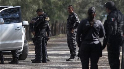 أخفوا المخدرات وكسروا الإشارة.. زعماء عصابات وقعوا بالصدفة بسبب القوانين المرورية