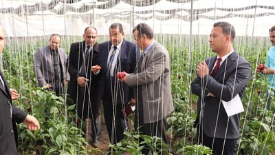 رئيس جامعة بنها: التوسع في تطوير الصوب الزراعية بطرق تكنولوجية لإنتاج خضار عضوي في غير موعده