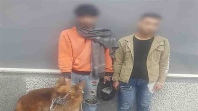 مشاجرة المرج.. القبض على شخصين تعديا على شاب وأحضرا كلبا لعقره