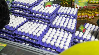 مصر بها 37 ألف مزرعة.. أول تعليق من اتحاد الدواجن على اتهام تجار بالاحتكار ورفع الأسعار