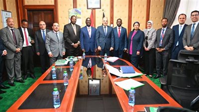 الري تعلن تفعيل مذكرة تفاهم بين مصر وكينيا في ملف المياه