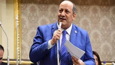 النواب يعلن خلو مقعد النائب أحمد حتة بعد تلقي إخطار بوفاته