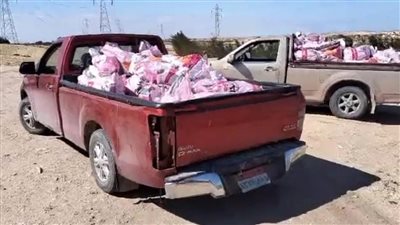 نفوق 6 آلاف دجاجة داخل مزرعة دواجن ببئر العبد وصاحبها يخسر 600 ألف جنيه