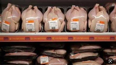 شعبة الدواجن: طرح 100 ألف طن فراخ مجمدة في المنافذ بتخفيضات 35%