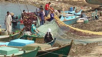 تصل لـ 2500 جنيه.. الحكومة تعتمد رسوم تراخيص مراكب الصيد باللائحة التنفيذية