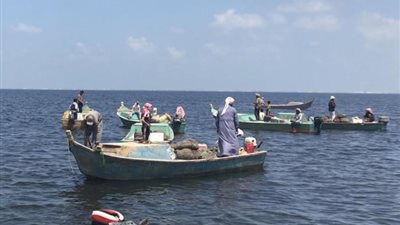 حظر الكائنات المائية الأجنبية إلا بترخيص.. ضوابط لحماية المياه في مصر بلائحة قانون الثروة السمكية