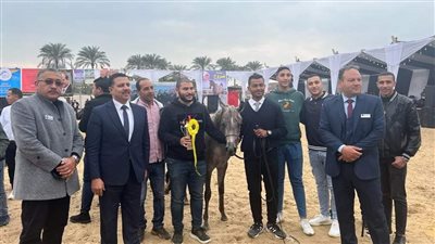 بمشاركة 250 جوادًا.. انطلاق فعاليات المهرجان الدولي السادس عشر للخيول العربية الأصيلة بالبحيرة