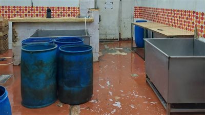 غلق وتشميع مجزر فراخ بمدينة نصر لإدارته دون ترخيص