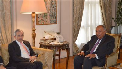 شكري يبحث مع وفد البرلمان الأوروبي قضية فلسطين وتطورات الأزمة الليبية 