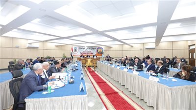 الأعلى للجامعات يوافق على إنشاء كلية الهندسة بجامعة الوادي الجديد