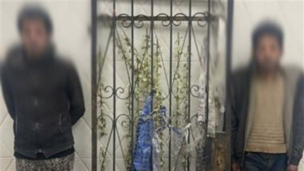 المتهمين والمضبوطات