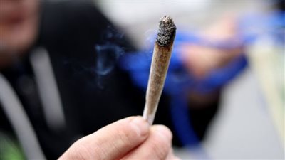 السجن المشدد لـ 3 متهمين بالإتجار وتعاطي الحشيش ببورسعيد