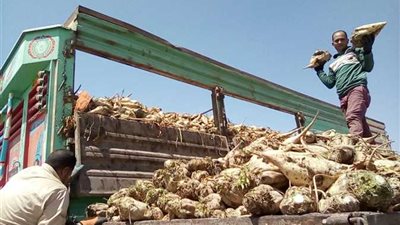 زراعة البرلمان تناقش 5 طلبات بشأن سعر استلام محصول بنجر السكر