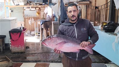 انتعاش سوق الأسماك.. سمكة الفسكر تجذب المواطنين داخل حلقة السمك بالغردقة | صور