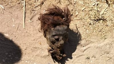 رعب وإغماءات بعد العثور على رأس فتاة بجانب مدرسة العديسات بالأقصر | بث مباشر