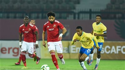 بعد التأهل.. سيمبا يثير قلق جمهور الأهلي قبل مباراة صن داونز