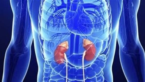 الغدة الكظرية 