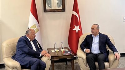 الخارجية تكشف حجم المساعدات المصرية لدعم سوريا وتركيا 