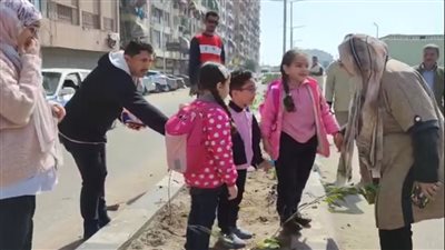 زراعة 2000 شجرة بحي الضواحي في بورسعيد | تفاصيل 