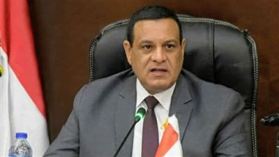 التنمية المحلية تعلن عن دورة تدريبية لتنمية مهارات القيادات في مجال تطبيق رؤية مصر 2030 