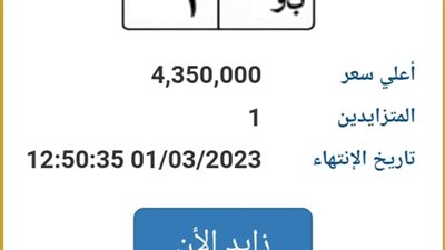 إحداها تخطت الـ 4 ملايين جنيه.. الداخلية تطرح لوحات مرور مميزة للتزايد عليها