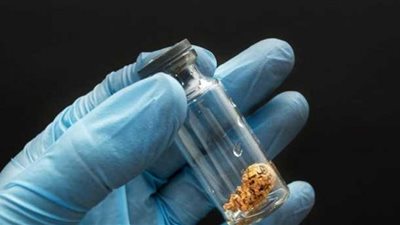 الصين تسمح بتجميد البويضات للنساء العازبات