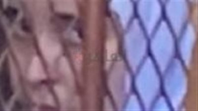 استرخصت روحها.. ننشر حيثيات حكم قاتلة أمها ببورسعيد 