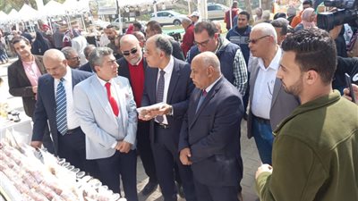 الزراعة تفتتح مهرجان القاهرة الدولي للتمور بحديقة الأورمان 