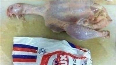 شعبة الدواجن تكشف حقيقة انتشار دواجن مجمدة لم تذبح على الشريعة الإسلامية