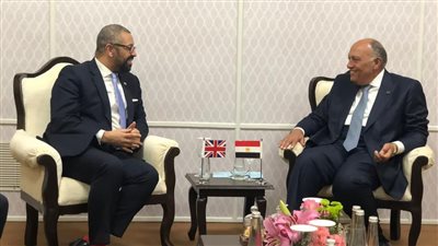 سد النهضة والعلاقات الثنائية.. أبرز ملفات وزير الخارجية خلال اجتماعاته على هامش قمة العشرين 